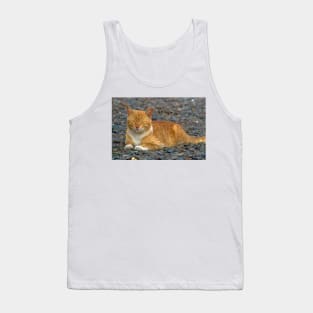 CAT IN THE GARDEN Tank Top